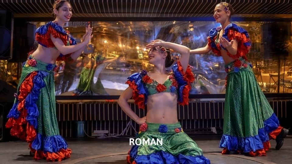 Bosphorus Dinner Cruise - Close to Show Table (Soft Drinks and Local Alcohol + Dinner + Meeting Point)